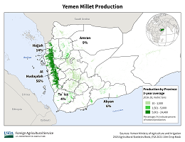 images\YM\cropprod\Yemen_Millet_preview.png